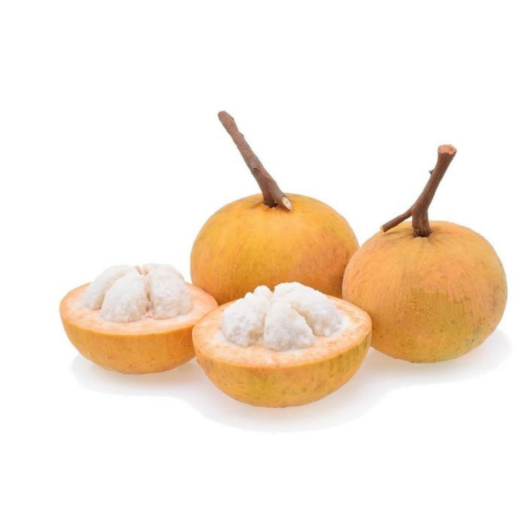 Kecapi Fruits (Sandoricum koetjape) Inaexport